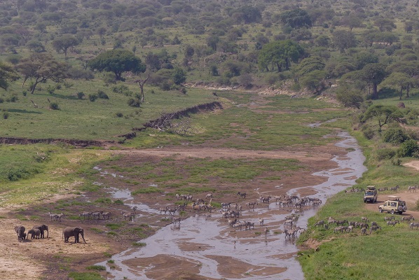 Vumbura VOYAGES